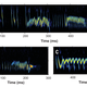 Image for article titled Bats Can Transmit "Signal Jamming" Sounds
